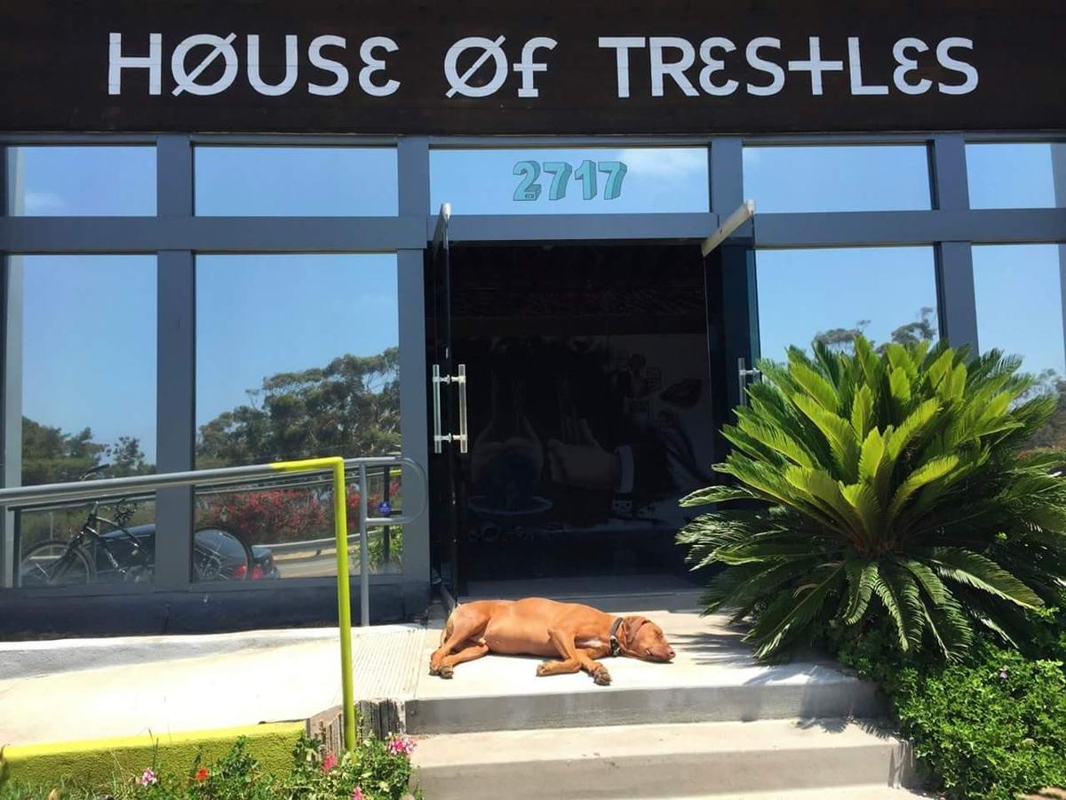 House Of Trestles Vandrehjem San Clemente Eksteriør billede